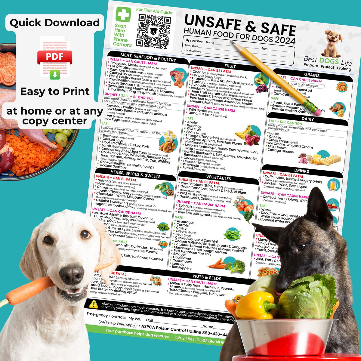 Best DOGS Life Premium Unsafe Safe Human Food for Dogs Emergency First Aid