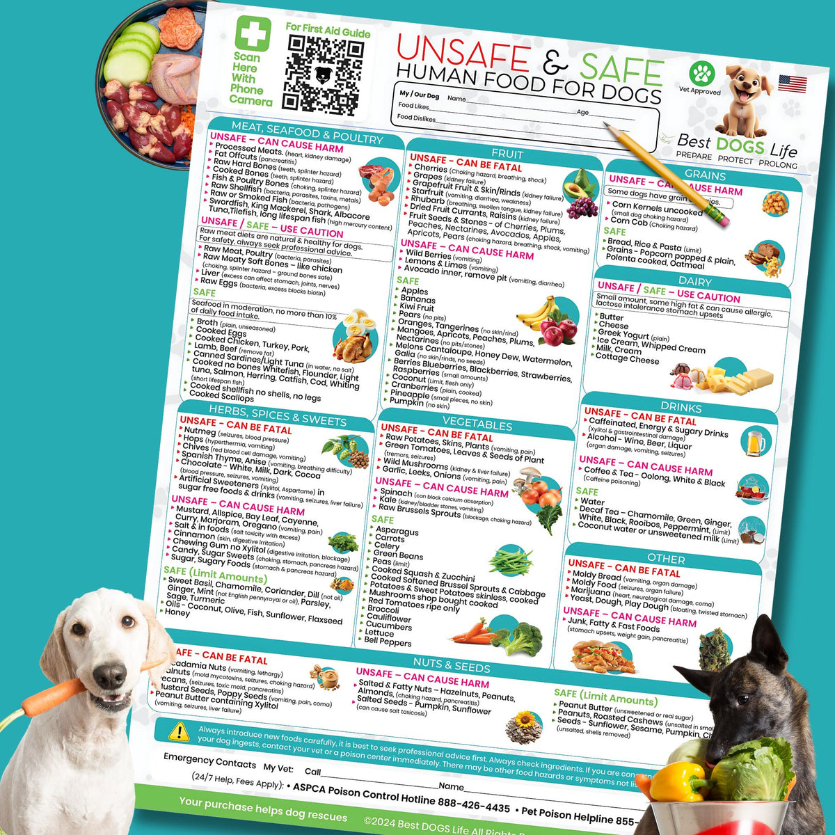 Premium Unsafe Safe Human Food for Dogs guide – Pupcosy