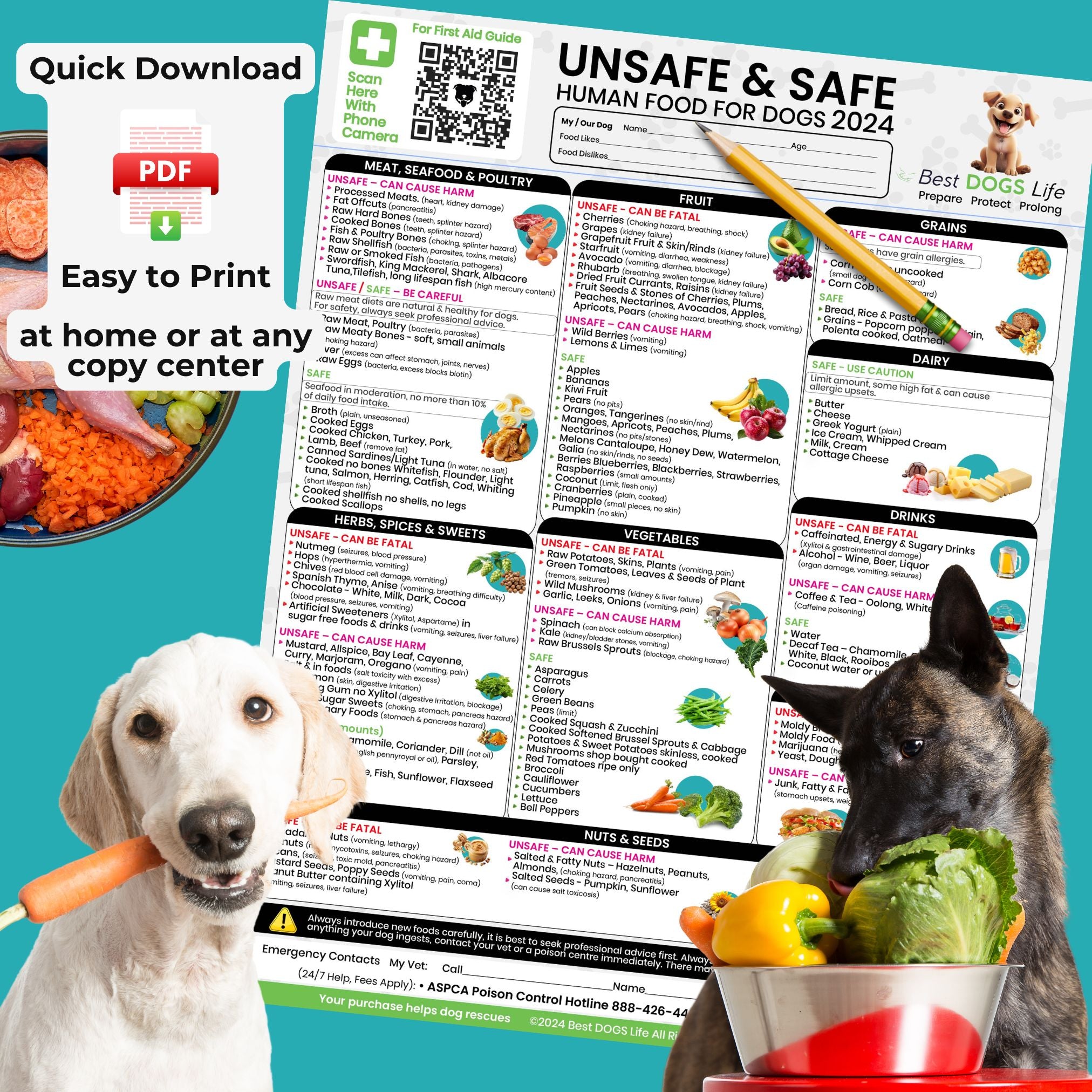 Safe human food for dogs top