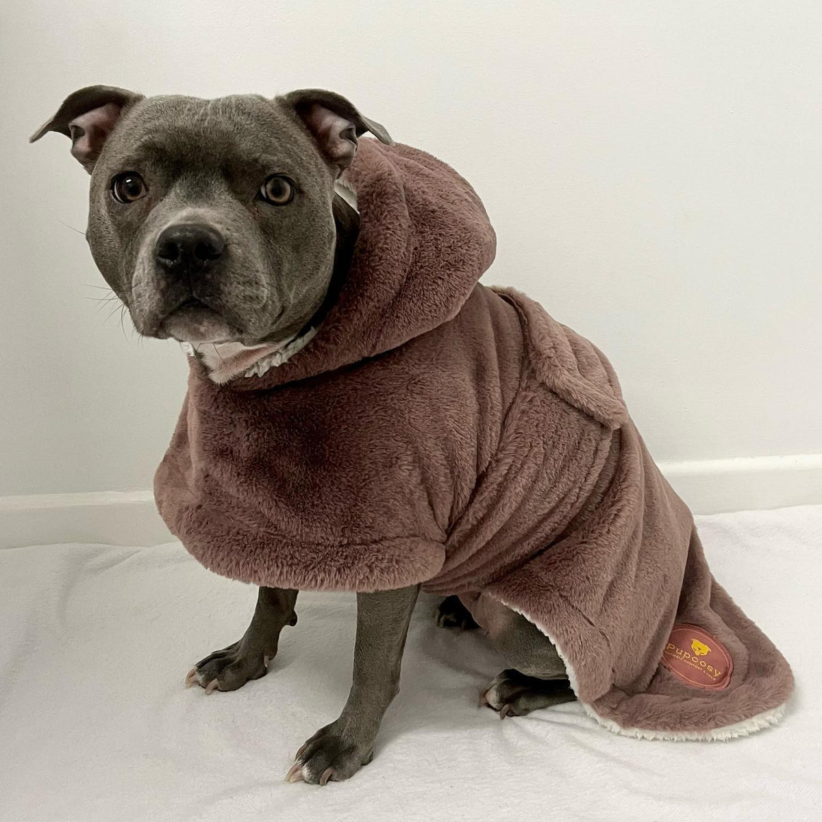 PUPCOSY Calming Luxury Dog Robe -SupaSoft Comfy Warm Relaxing Dog Coat ...